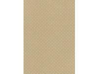 Natural (Beige) Background with Tiny White Spot
